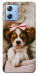 Чехол Sleepy spaniel для Motorola Moto G84