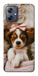 Чехол Sleepy spaniel для Motorola Moto G54