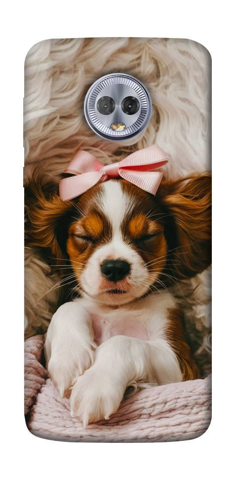 Чехол Sleepy spaniel для Motorola Moto G6 Plus