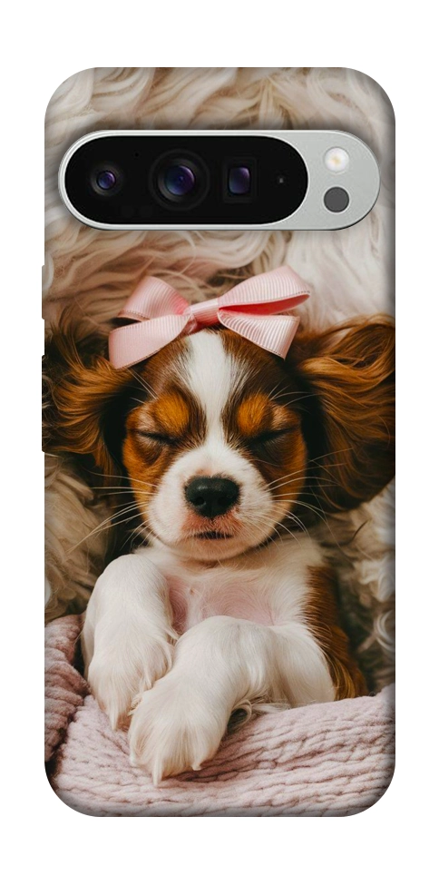 Чехол Sleepy spaniel для Google Pixel 9 Pro XL