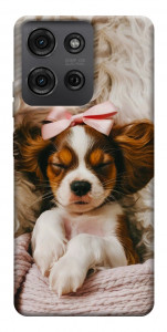 Чохол Sleepy spaniel для Motorola Moto G75 5G
