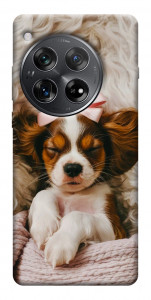 Чехол Sleepy spaniel для OnePlus 12