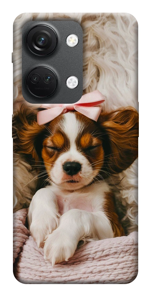 Чехол Sleepy spaniel для OnePlus Nord 3