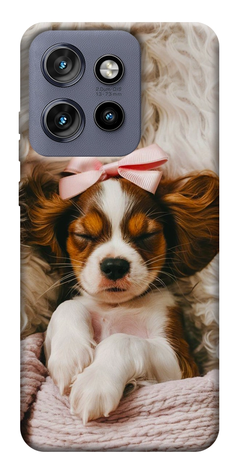 Чохол Sleepy spaniel для Motorola Edge 50 Neo