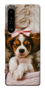 Чехол Sleepy spaniel для Sony Xperia 1 IV
