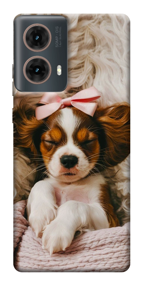 Чехол Sleepy spaniel для Motorola Moto G85