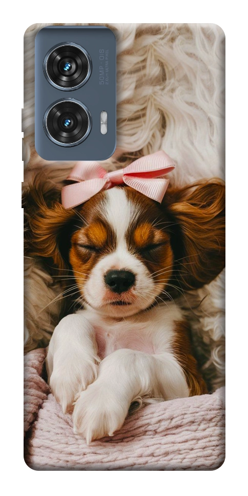 Чехол Sleepy spaniel для Motorola Edge 50 Fusion