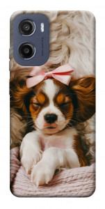 Чехол Sleepy spaniel для Motorola Moto E15