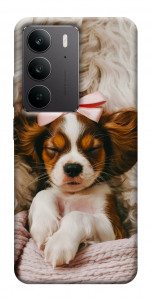 Чехол Sleepy spaniel для Realme C75