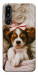 Чохол Sleepy spaniel для Galaxy F16 5G