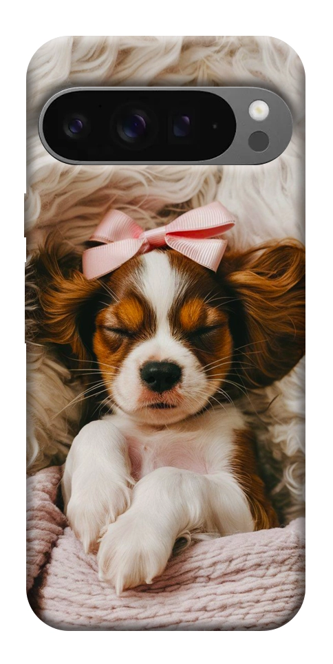 Чехол Sleepy spaniel для Google Pixel 10 Pro XL