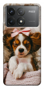 Чохол Sleepy spaniel для Xiaomi Poco F6 Pro