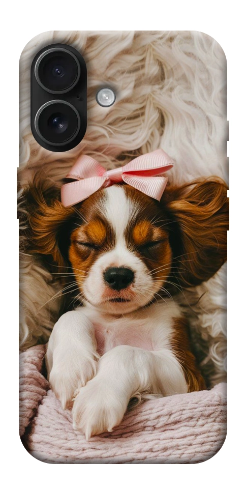Чехол Sleepy spaniel для iPhone 17