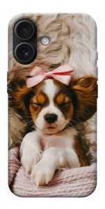 Чехол Sleepy spaniel для iPhone 17