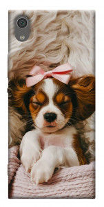Чехол Sleepy spaniel для Sony Xperia XA1