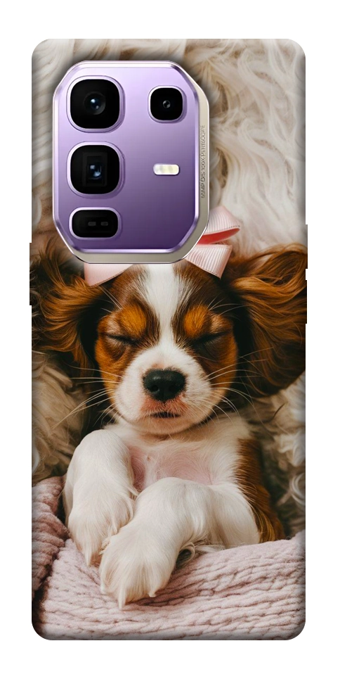 Чехол Sleepy spaniel для Infinix Note 50 Pro+