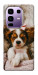 Чехол Sleepy spaniel для Infinix Note 50 Pro+