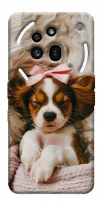 Чехол Sleepy spaniel для Nothing Phone (3a) Pro