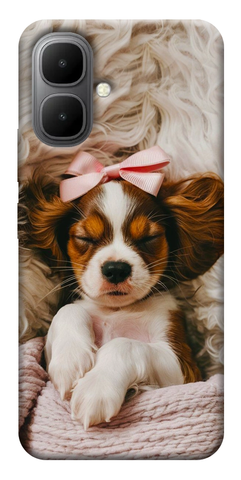 Чехол Sleepy spaniel для Infinix Smart 10