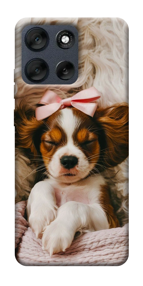 Чехол Sleepy spaniel для Motorola Moto G56 5G