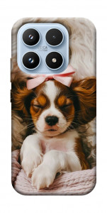 Чехол Sleepy spaniel для Xiaomi 17