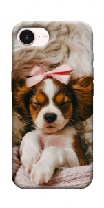 Чехол Sleepy spaniel для iPhone 17e