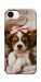 Чехол Sleepy spaniel для iPhone 17e