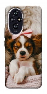 Чехол Sleepy spaniel для Huawei Honor 200