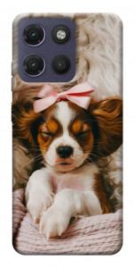Чехол Sleepy spaniel для Motorola Moto G17