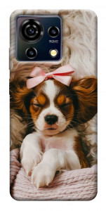 Чохол Sleepy spaniel для ZTE Blade V50 Vita
