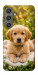 Чехол Small labradore для Galaxy S24