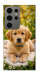 Чехол Small labradore для Galaxy S24 Ultra