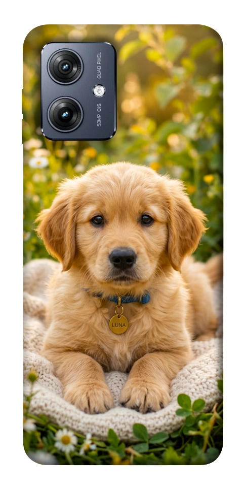 Чехол Small labradore для Motorola Moto G54
