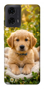 Чехол Small labradore для Motorola Moto G24