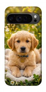 Чехол Small labradore для Google Pixel 9 Pro