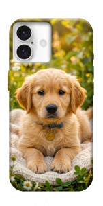 Чохол Small labradore для iPhone 16 Plus