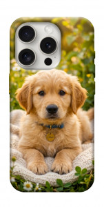 Чохол Small labradore для iPhone 16 Pro Max