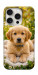 Чохол Small labradore для iPhone 16 Pro Max