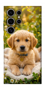 Чехол Small labradore для Galaxy S25 Ultra