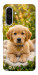 Чехол Small labradore для Galaxy A56 5G