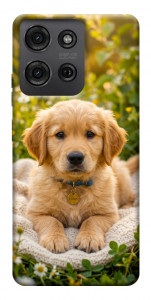 Чохол Small labradore для Motorola Moto G75 5G
