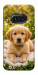 Чехол Small labradore для Nothing Phone (2a)