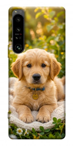 Чехол Small labradore для Sony Xperia 1 IV