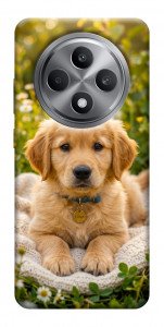 Чехол Small labradore для Oppo Reno 12 F 5G