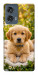 Чехол Small labradore для Motorola Edge 50 Fusion