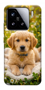 Чехол Small labradore для Xiaomi 15