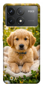 Чохол Small labradore для Xiaomi Poco F6 Pro