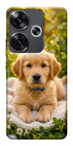 Чохол Small labradore для Xiaomi Poco F6