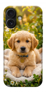 Чехол Small labradore для iPhone 17