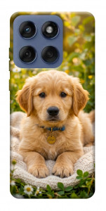 Чехол Small labradore для Motorola Edge 60 Fusion